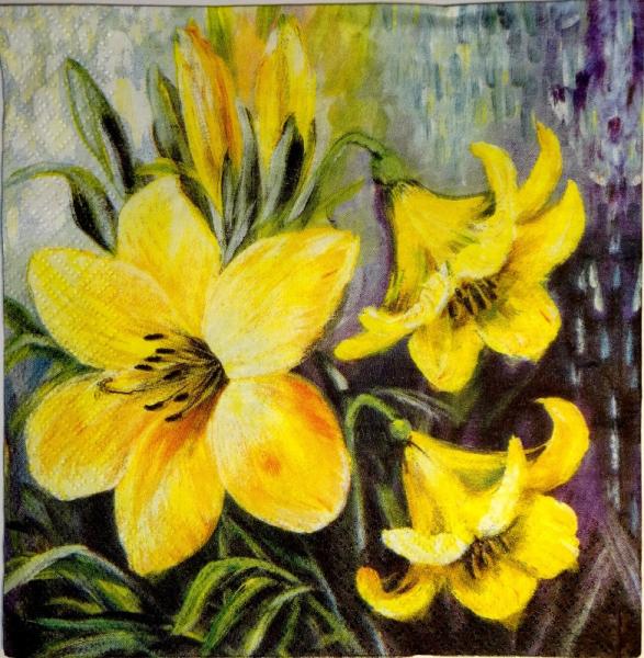 051 Lilies - 3-ply - Ti-Flair